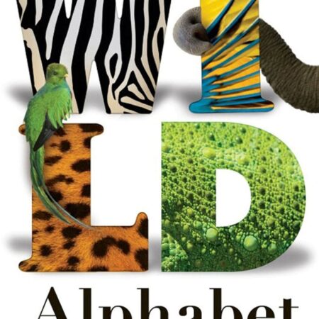 Wild Alphabet: An A to Zoo Pop-up Book