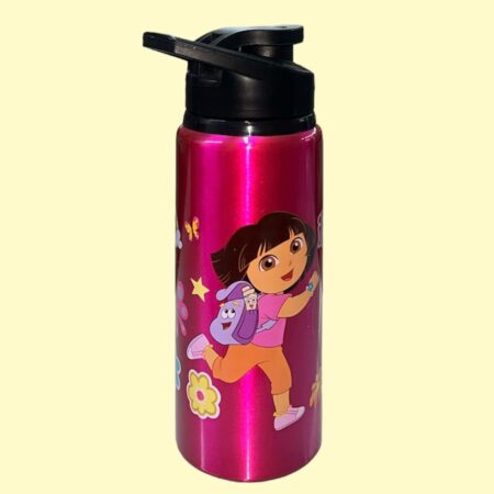 Dora 500ml Stainless Still Water Bottle