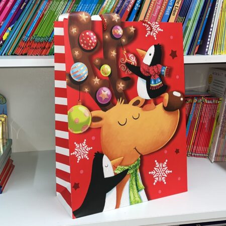 Big Bag 30x41.5x12cm