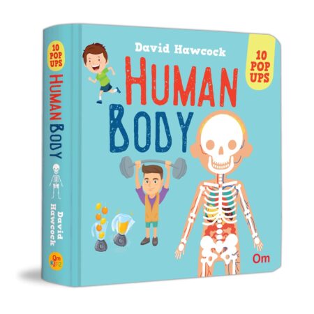 Pop-up Human Body