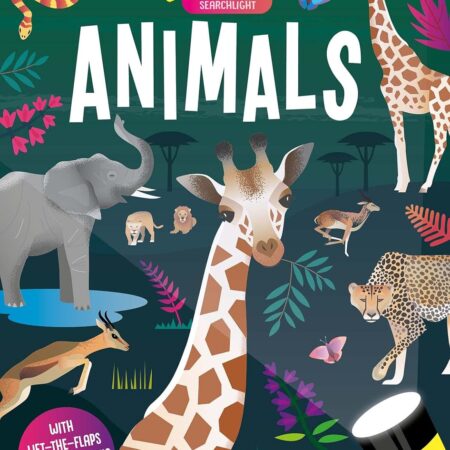 Seek and Find Animals